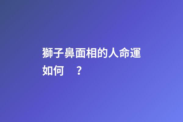 獅子鼻面相的人命運如何？